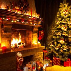 Fire Present Tree Sock Photography Scenery Backdrop Christmas Theme Banner IYC-595