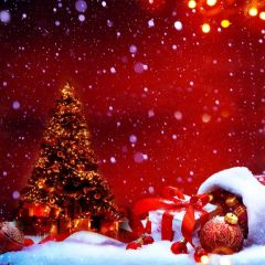 Tree Present Snow Red Light Photography Scenery Backdrop Christmas Theme Banner IYC-602