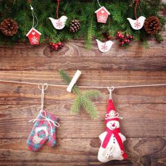 Plant Wood Wall Glove Photography Scenery Backdrop Christmas Theme Banner IYC-604