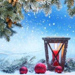 Candle Plant Ball Snow Photography Scenery Backdrop Christmas Theme Banner IYC-608