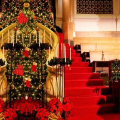 Stairs Plant Sock Pillar Photography Scenery Backdrop Christmas Theme Banner IYC-615
