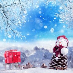 Snowman Tree Snow Present Photography Scenery Backdrop Christmas Theme Banner IYC-617