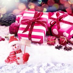Present Snowman Snow Ball Photography Scenery Backdrop Christmas Theme Banner IYC-627