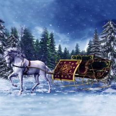 Horse Carriage Tree Snow Sky Photography Scenery Backdrop Christmas Theme Banner IYC-633