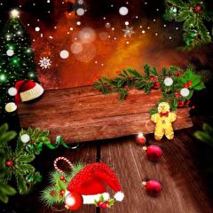 Cap Plant Snowflake Wood Photography Scenery Backdrop Christmas Theme Banner IYC-640