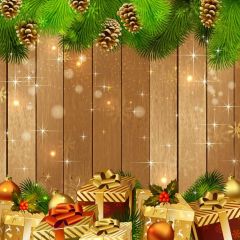 Wood Wall Present Plant Photography Scenery Backdrop Christmas Theme Banner IYC-647