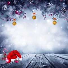 Cap Ball Wood Floor Plant Photography Scenery Backdrop Christmas Theme Banner IYC-648