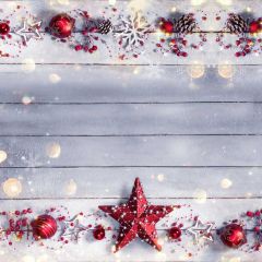 Star Wood Wall Ball Plant Photography Scenery Backdrop Christmas Theme Banner IYC-649