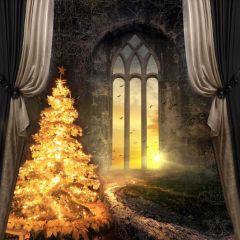 Tree Curtain Sunset Window Photography Scenery Backdrop Christmas Theme Banner IYC-650