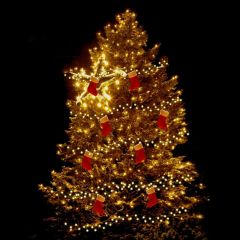 Tree Bulb Sock Photography Scenery Backdrop Christmas Theme Banner IYC-651