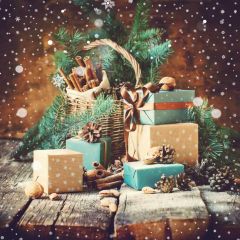 Present Tree Snow Plant Photography Scenery Backdrop Christmas Theme Banner IYC-654