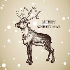 Deer Snow Letter Photography Scenery Backdrop Christmas Theme Banner IYC-657