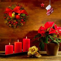 Candle Sock Wood Flower Plant Photography Scenery Backdrop Christmas Theme Banner IYC-663