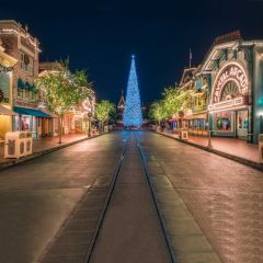 Tree Road Light Building Photography Scenery Backdrop Christmas Theme Banner IYC-664