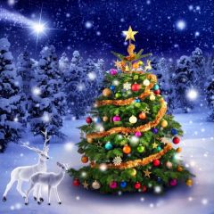 Tree Deer Snow Ball Photography Scenery Backdrop Christmas Theme Banner IYC-665