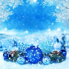 Snow Tree Night Photography Scenery Backdrop Christmas Theme Banner IYC-669