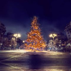 Tree Light Building Road Photography Scenery Backdrop Christmas Theme Banner IYC-670