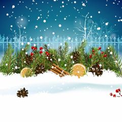 Plant Snow Fence Lemon Photography Scenery Backdrop Christmas Theme Banner IYC-690