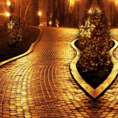 Road Tree Star Light Photography Scenery Backdrop Christmas Theme Banner IYC-695