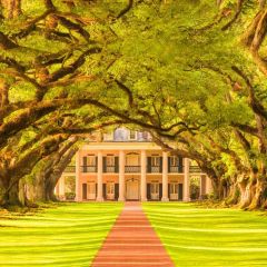 Tree Road Building Grass Photography Scenery Backdrop Christmas Theme Banner IYC-701