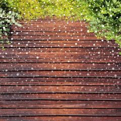 Plant Wood Snow Photography Scenery Backdrop Christmas Theme Banner IYC-706