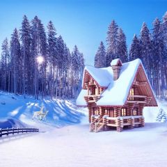 House Snow Tree Sunshine Photography Scenery Backdrop Christmas Theme Banner IYC-707
