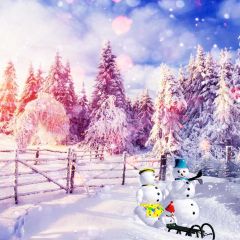 Fence Snowman Tree Sky Photography Scenery Backdrop Christmas Theme Banner IYC-711