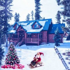 House Santa Claus Tree Present Photography Scenery Backdrop Christmas Theme Banner IYC-718