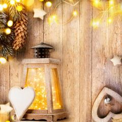 Heart Star Small Bulb Plant Photography Scenery Backdrop Christmas Theme Banner IYC-721