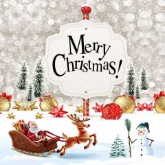 Santa Claus Deer Snowman Ball Photography Scenery Backdrop Christmas Theme Banner IYC-735