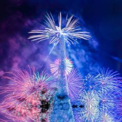 Firework Tree Colour Night Photography Scenery Backdrop Festival Celebration Theme Banner IYC-745