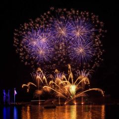 Firework Night Fountain Light Photography Scenery Backdrop Christmas Theme Banner IYC-757