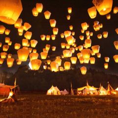 Lanterns Grass Lamp Light Photography Scenery Backdrop Festival Celebration Theme Banner IYC-797