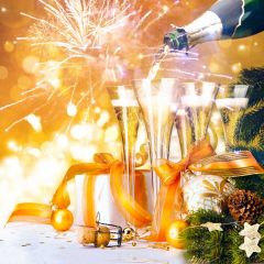 Glass Wine Light Plant Photography Scenery Backdrop Festival Celebration Theme Banner IYC-825