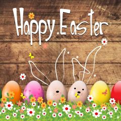 Wood Flower Egg Photography Scenery Backdrop Festival Celebration Theme Banner IYC-863