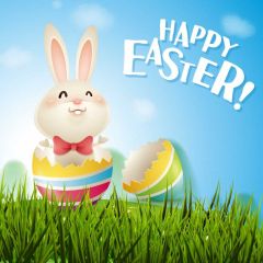 Rabbit Grass Photography Scenery Backdrop Door Theme Banner IYC-865