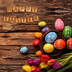 Egg Flower Wood Photography Scenery Backdrop Festival Celebration Theme Banner IYC-866