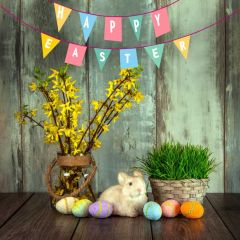 Flower Wood Rabbit Egg Photography Scenery Backdrop Festival Celebration Theme Banner IYC-870