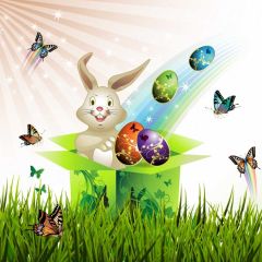 Rabbit Grass Butterfly Photography Scenery Backdrop Festival Celebration Theme Banner IYC-871