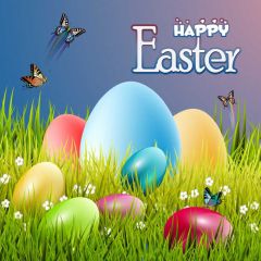 Egg Grass Butterfly Photography Scenery Backdrop Festival Celebration Theme Banner IYC-876