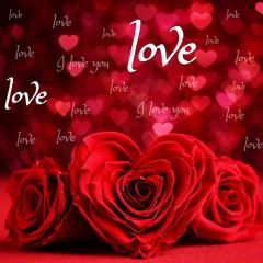 Heart Flower Photography Scenery Backdrop Love Theme Banner IYC-880