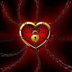 Heart Red Photography Scenery Backdrop Love Theme Banner IYC-881