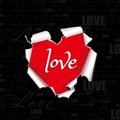 Heart Red Photography Scenery Backdrop Love Theme Banner IYC-882
