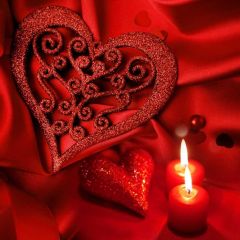 Heart Flower Candle Photography Scenery Backdrop Love Theme Banner IYC-883