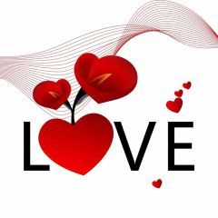 Heart Photography Scenery Backdrop Love Theme Banner IYC-886