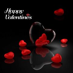 Heart Photography Scenery Backdrop Love Theme Banner IYC-890