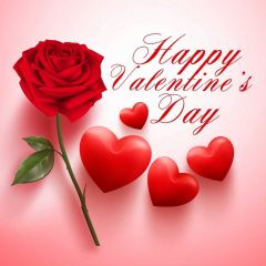 Heart Flower Photography Scenery Backdrop Love Theme Banner IYC-891