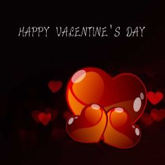 Heart Red Black Photography Scenery Backdrop Love Theme Banner IYC-894