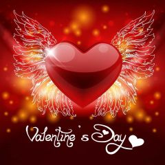 Heart Red Wing Photography Scenery Backdrop Love Theme Banner IYC-895