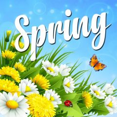 Flower Butterfly Sky Photography Scenery Backdrop Nature Theme Banner IYC-905